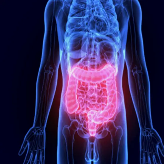 tissue transglutaminase (ttg) antibody igg
